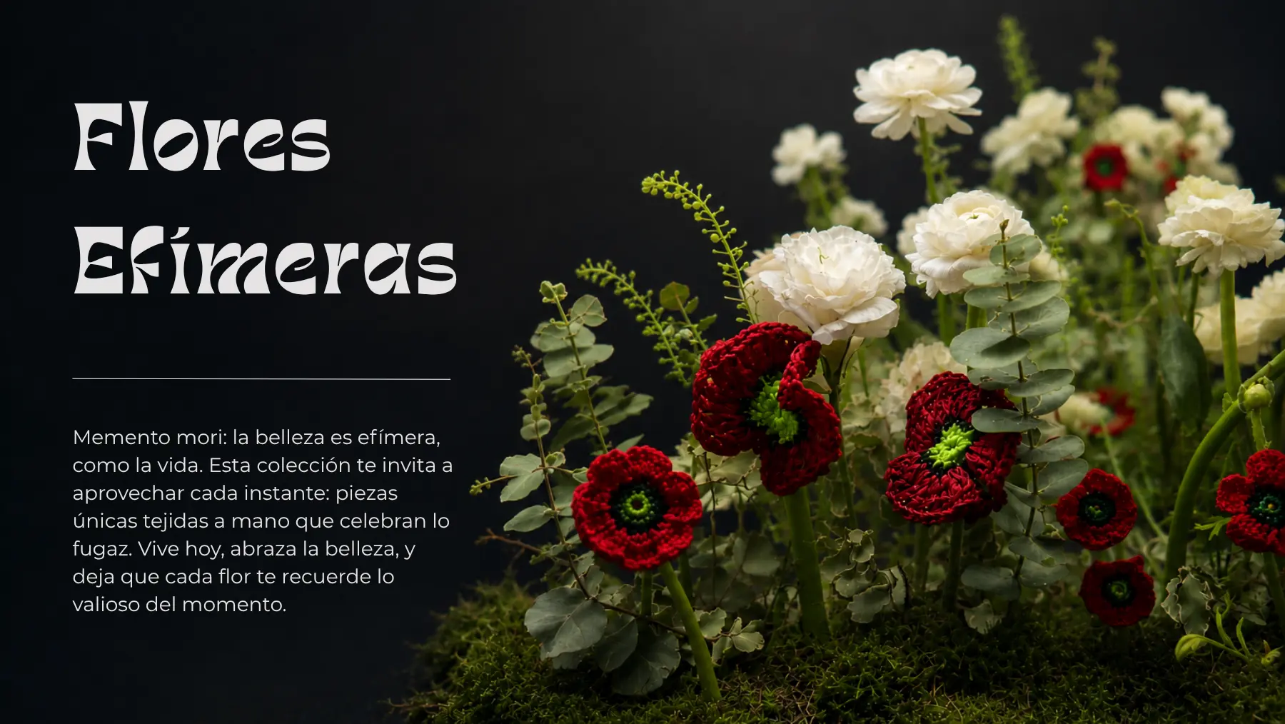 Composición floral de la colección Flores Efímeras de BeMeknes con amapolas rojas artesanales, flores blancas y musgo sobre fondo oscuro.