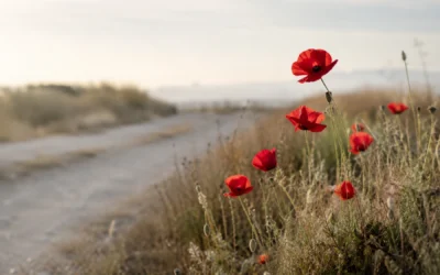 Flores de los caminos: la belleza que crece en los márgenes